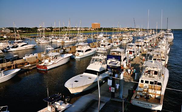Designing Charleston City Marina in South Carolina, USA was an early example of ATM’s working with nature policy. Photo: ATM